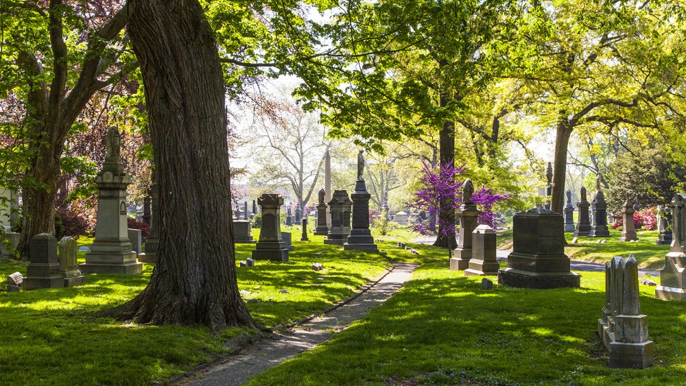 Exploring New York’s Hidden Gems: Off-the-Beaten-Path Activities