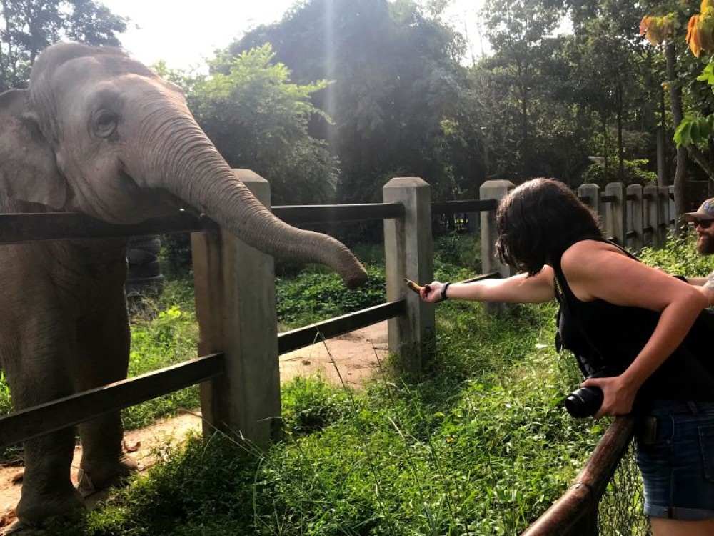 Discover Hidden Gems in Phnom Penh: Off-the-Beaten-Path Experiences