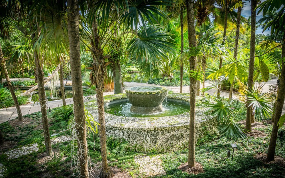 Top 5 Must-Do Activities in Miami for First-Time Visitors