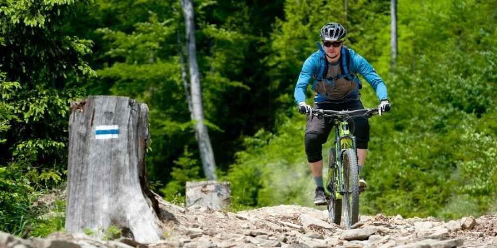Washington DC’s Best Parks and Outdoor Spaces: A Nature Lover’s Guide