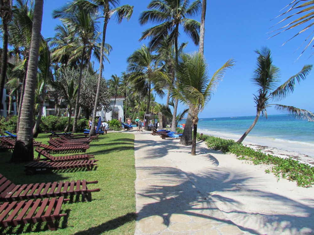 Top Things to Do in Mombasa: A Journey Through History and Nature