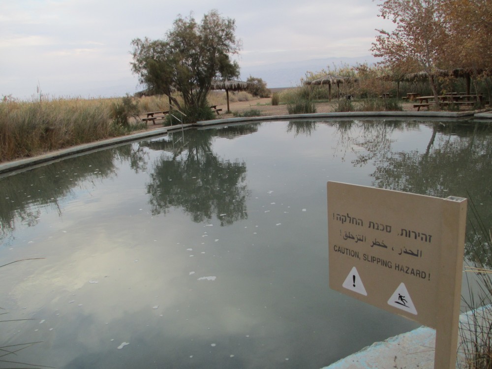 Top 5 Natural Wonders Around the Dead Sea You Can't Miss