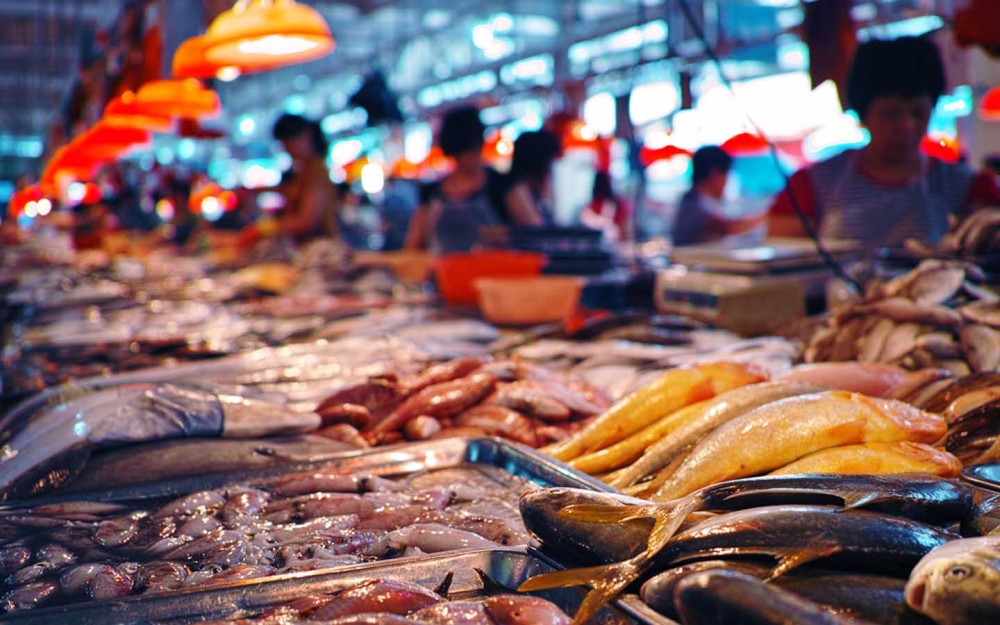 Where to Eat in Khao Lak: A Food Lover’s Guide