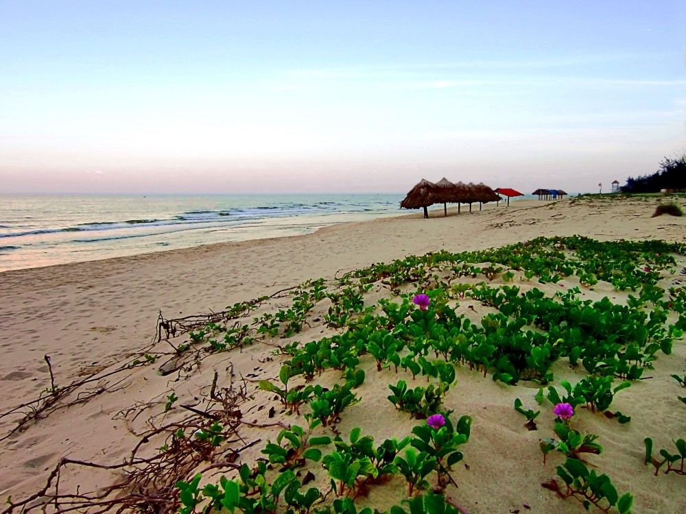 Dong Hoi: Vietnam’s Best-Kept Secret for Adventure and Relaxation