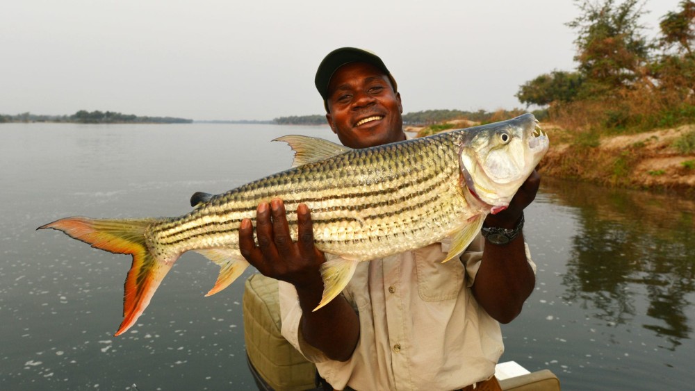 Savor the Flavors: Best Foods to Try in Victoria Falls