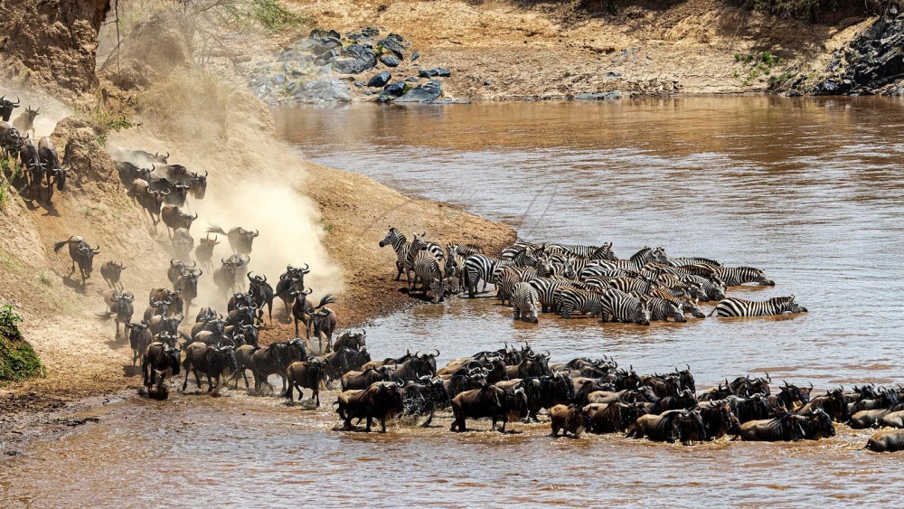 Best Places to See Wildlife in Masai Mara