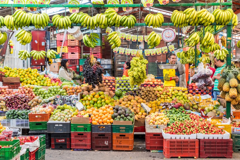 Bogotá for Beginners: Your Essential First-Timer’s Guide
