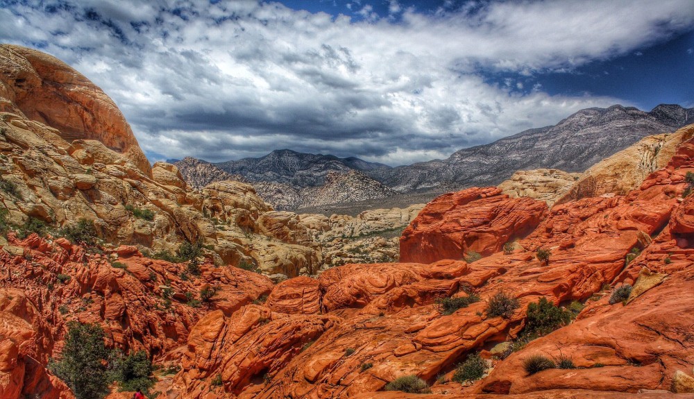Beyond the Casinos: Unique Things to Do in Las Vegas