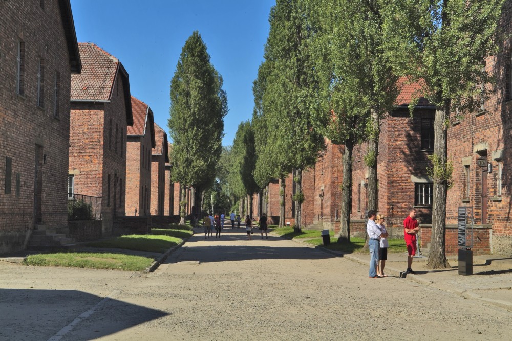 Day Trips from Krakow: Unmissable Adventures Just Outside the City