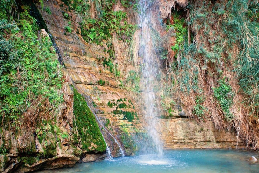 Family Adventures at the Dead Sea: Things to Do with Kids