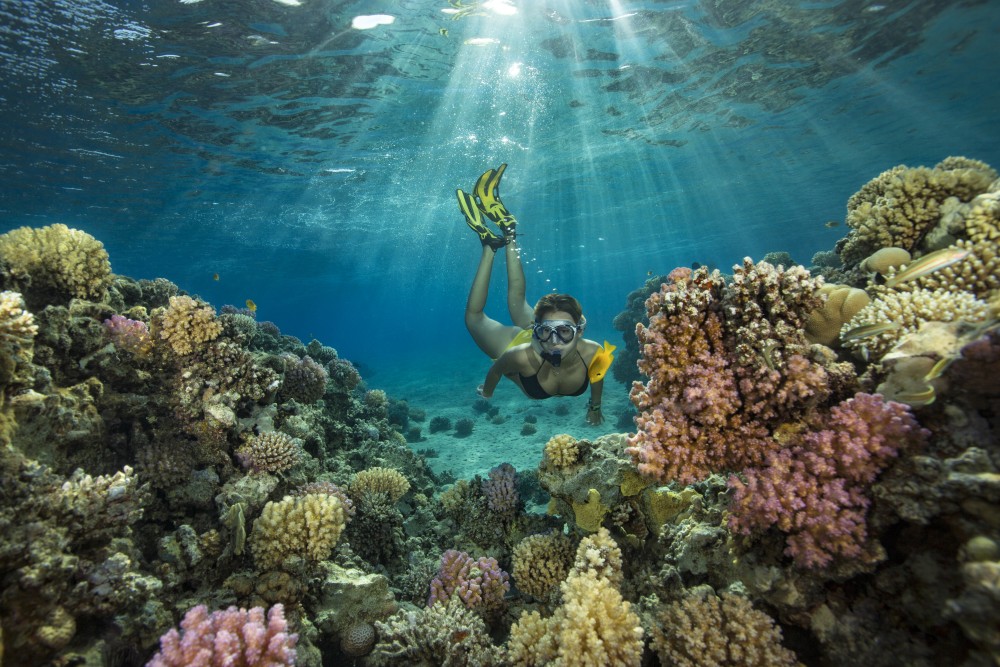 Family-Friendly Fun: Why Sharm El-Sheikh Is Perfect for Kids