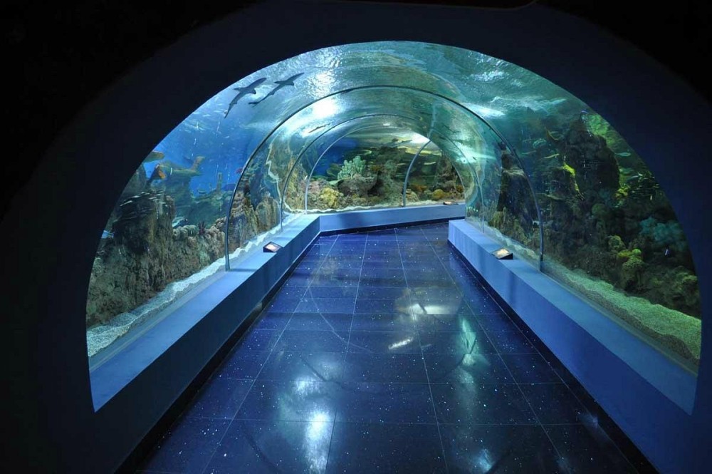 Family-Friendly Activities in Jeddah: Fun for All Ages