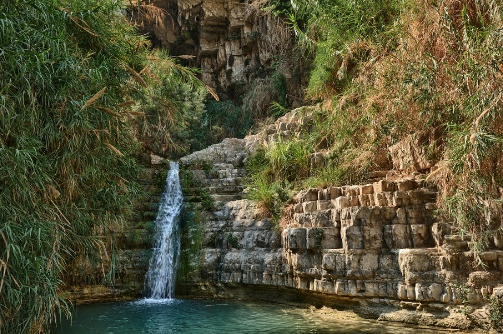 Top 5 Natural Wonders Around the Dead Sea You Can't Miss