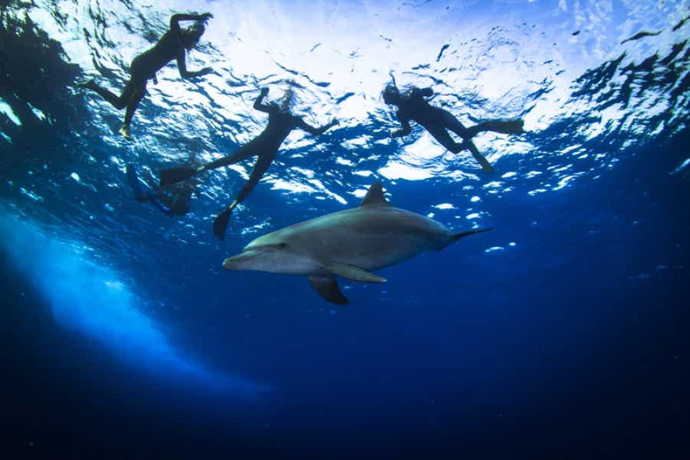 Family Adventures in Hurghada: Fun Activities for All Ages