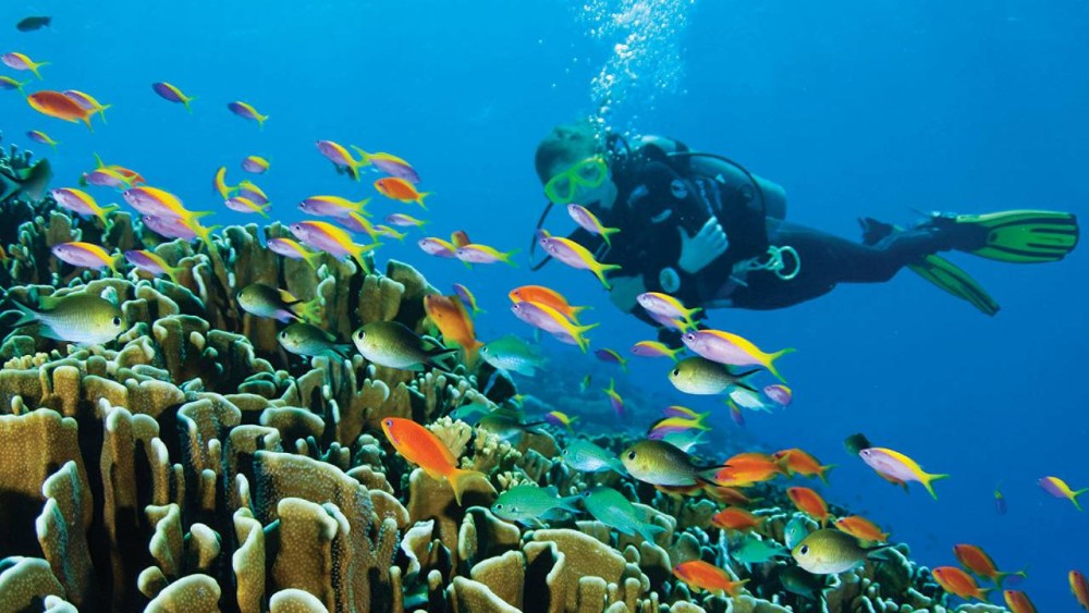 Top Things to Do in Hurghada: A Complete Guide to the Red Sea’s Gem