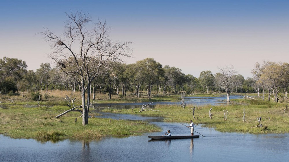The Ultimate Kasane Travel Itinerary for Nature Lovers