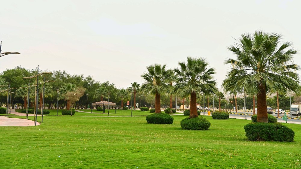 Exploring Dammam for First-Timers: Must-See Attractions and Experiences
