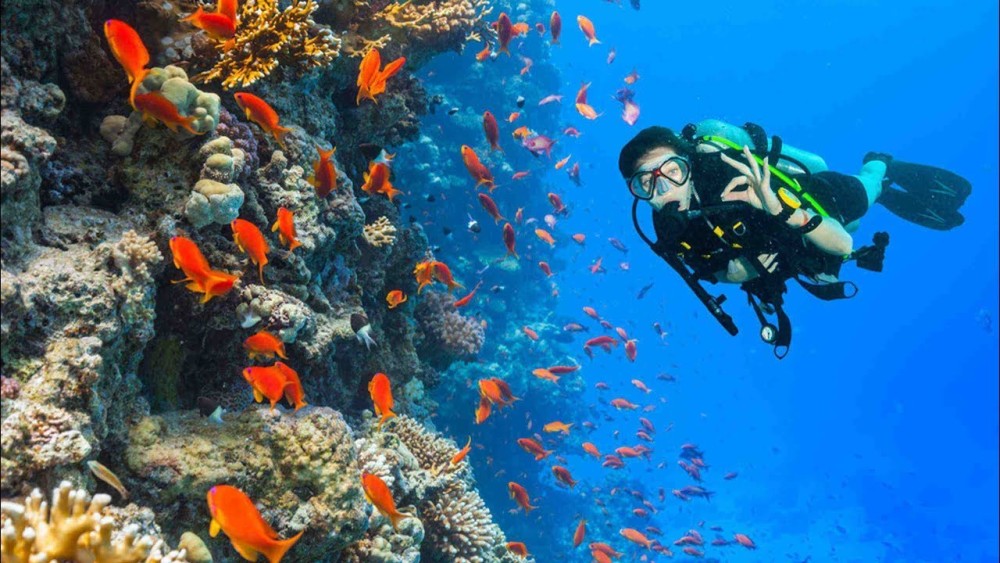 Top 5 Must-See Attractions in Sharm el Sheikh