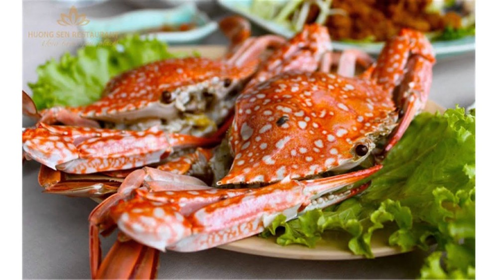The Ultimate Ha Long Bay Food Guide: What to Eat and Where