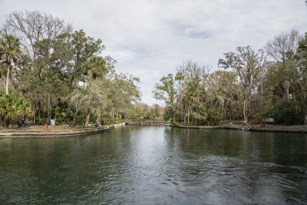 Ultimate Orlando: Top Things to Do for First-Time Visitors