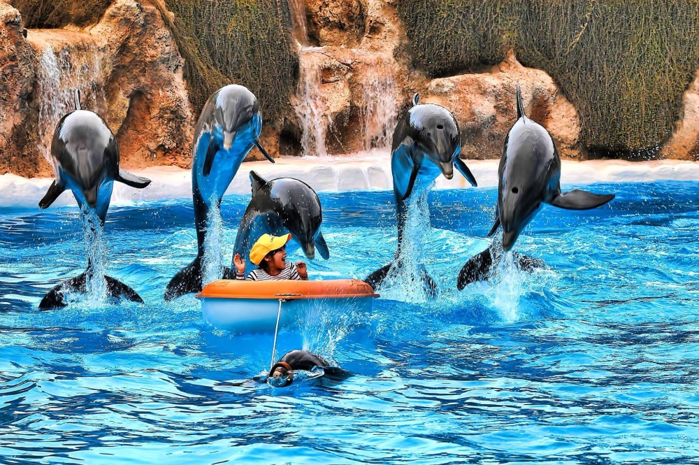 Family-Friendly Tenerife: Best Activities for Kids and Parents