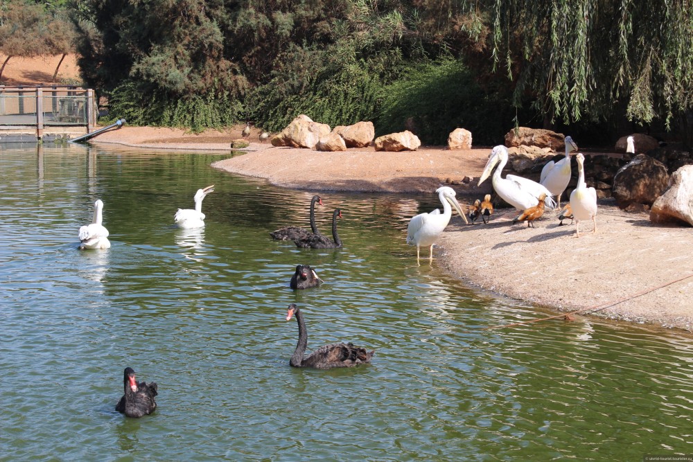 Family-Friendly Activities in Agadir: Fun for All Ages