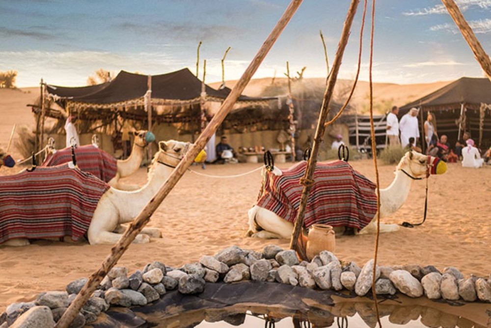 Top Things to Do in Wadi Rum for First-Timers