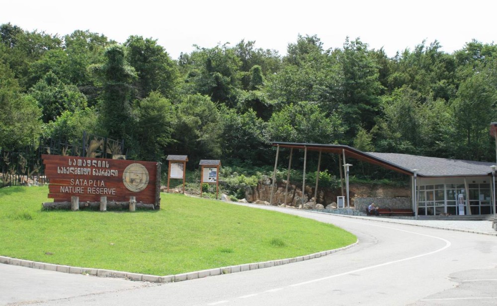 Exploring Kutaisi’s Nature: Parks, Caves, and Stunning Views