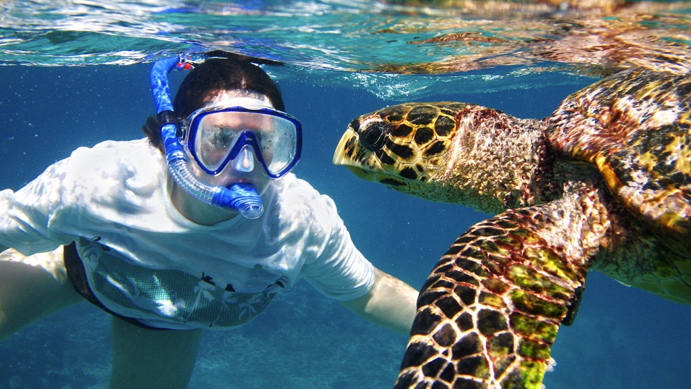 The Best Beaches in Marsa Alam: Relax, Swim, and Snorkel