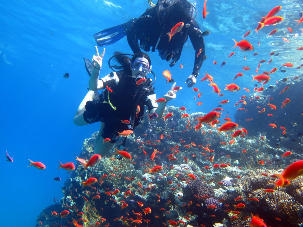 Dive Into Local Charm: Discovering the Real Sharm El-Sheikh