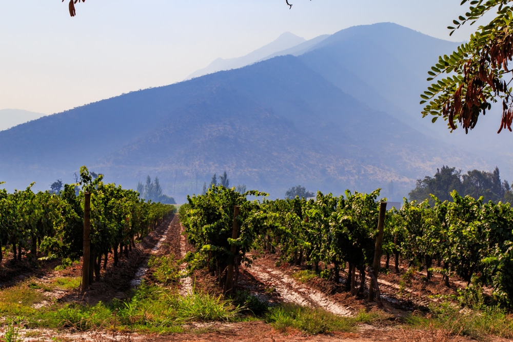 Beyond Santiago: The Best Day Trips for an Unforgettable Escape