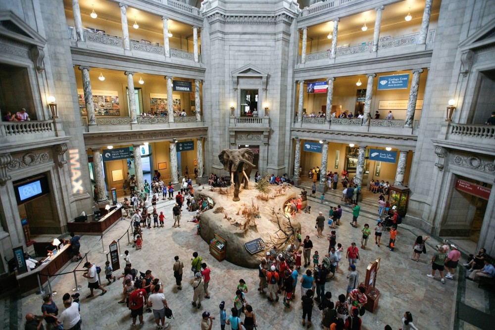 Top Things to Do in Washington DC: A Traveler’s Guide