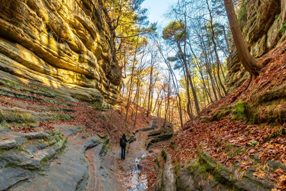 The Best Day Trips from Chicago: Escape the City for a Day