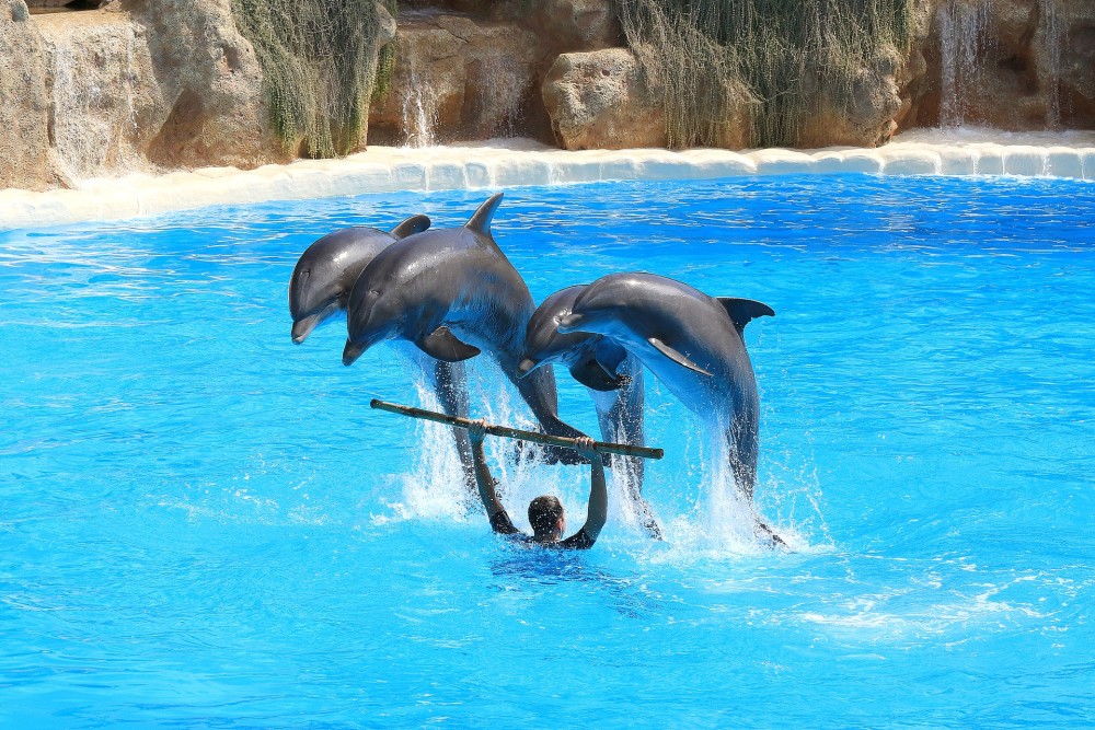 Family Adventures in Side and Manavgat: Fun Activities for All Ages