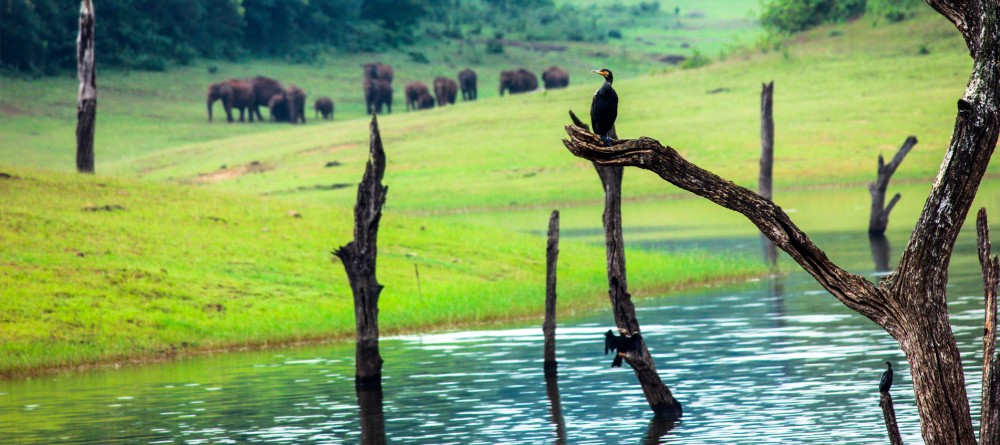 Pereira’s Hidden Gems: Unique Experiences Beyond the Tourist Trail