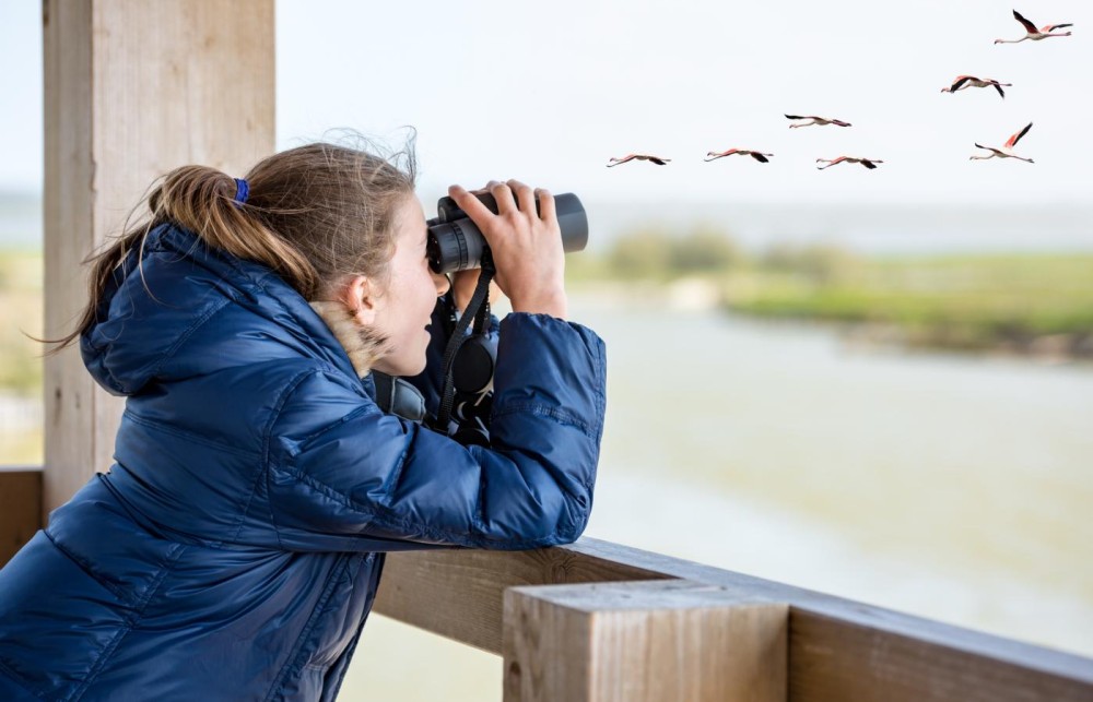 Best Places to See Wildlife in Masai Mara
