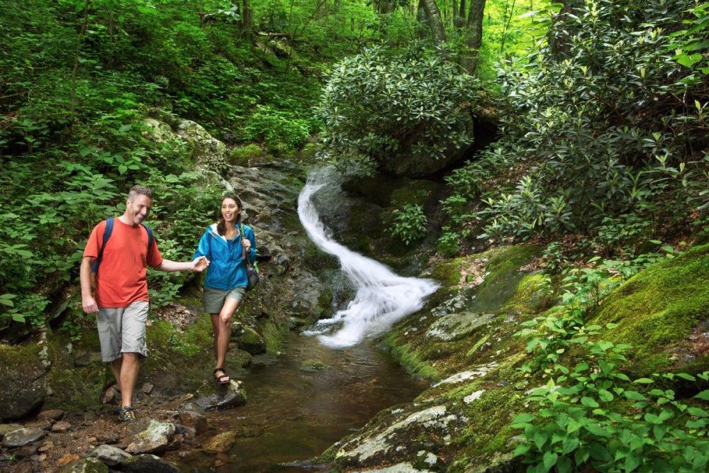 Wildlife, Waterfalls, and Walking Trails: Outdoor Adventures in Arusha