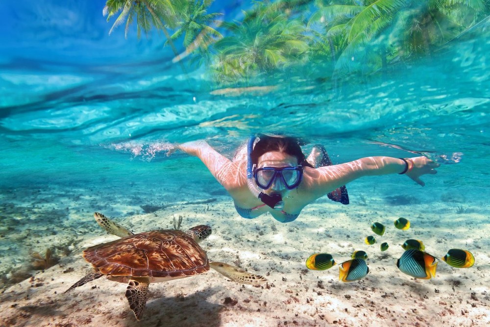 Adventures in Zanzibar