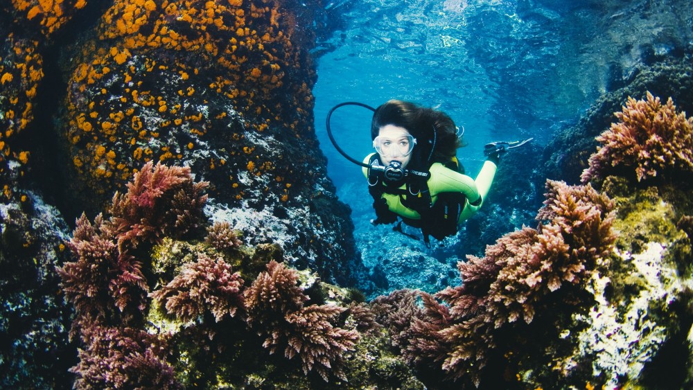 Adventures in Zanzibar