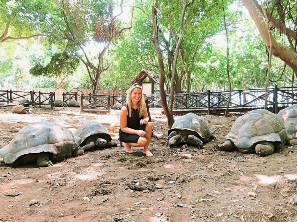 Must-Visit Attractions in Zanzibar for First-Time Travelers