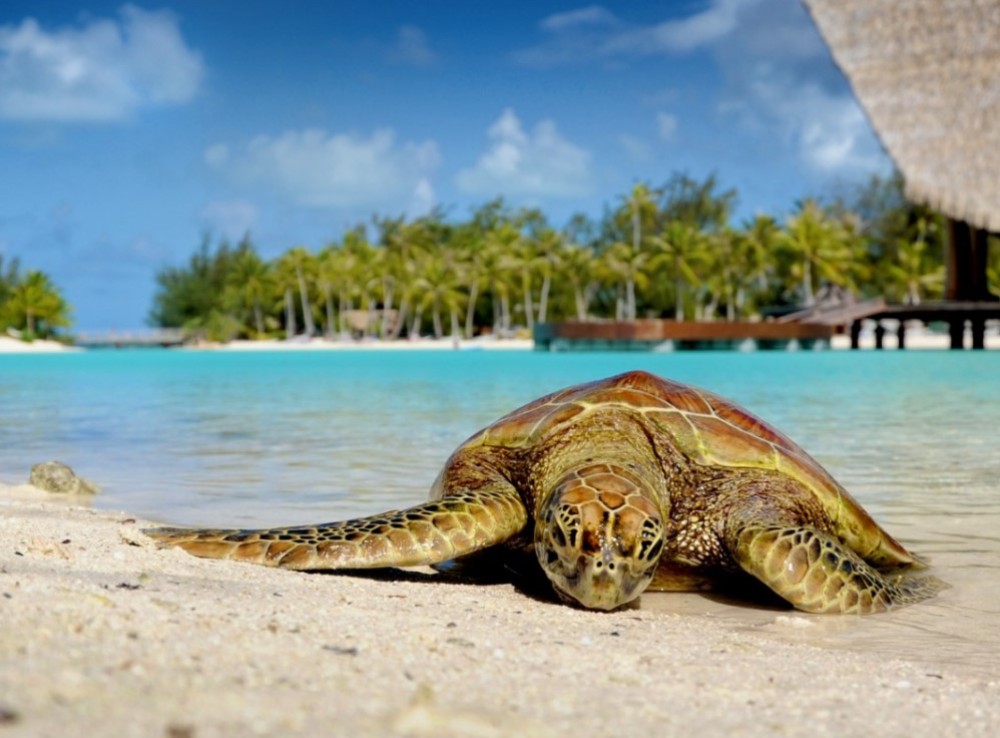 Adventures in Zanzibar
