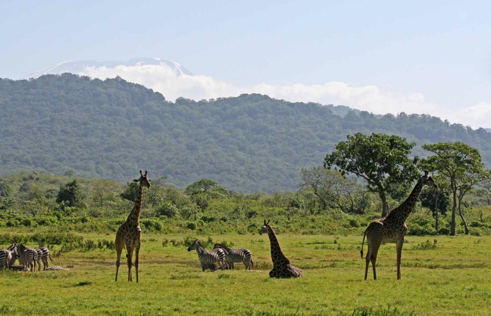 Best Day Trips from Arusha: Nature, Culture, and Adventure