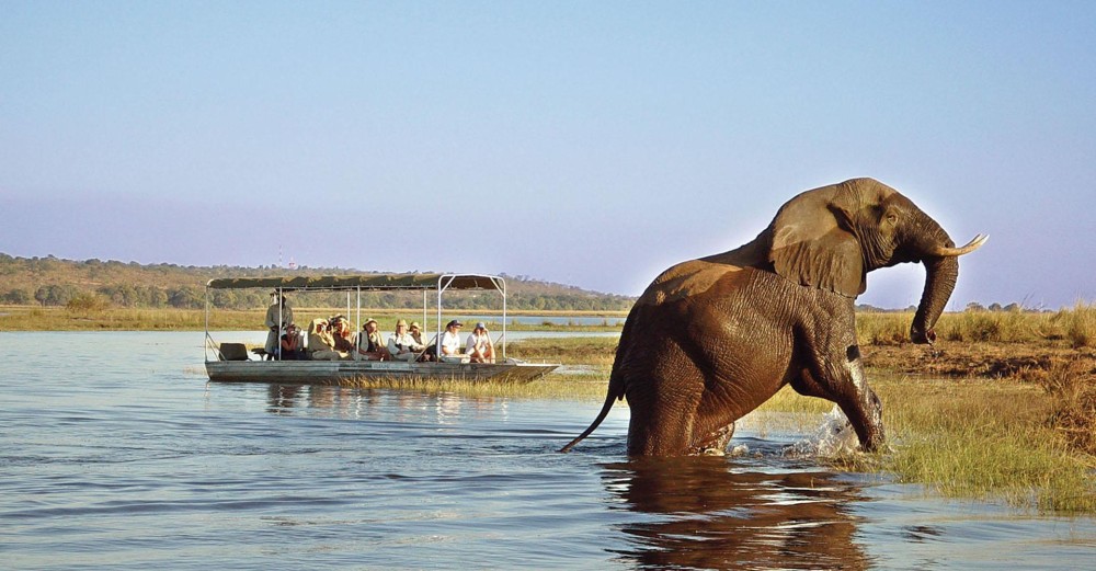 Best Day Trips from Livingstone: Explore Beyond the City