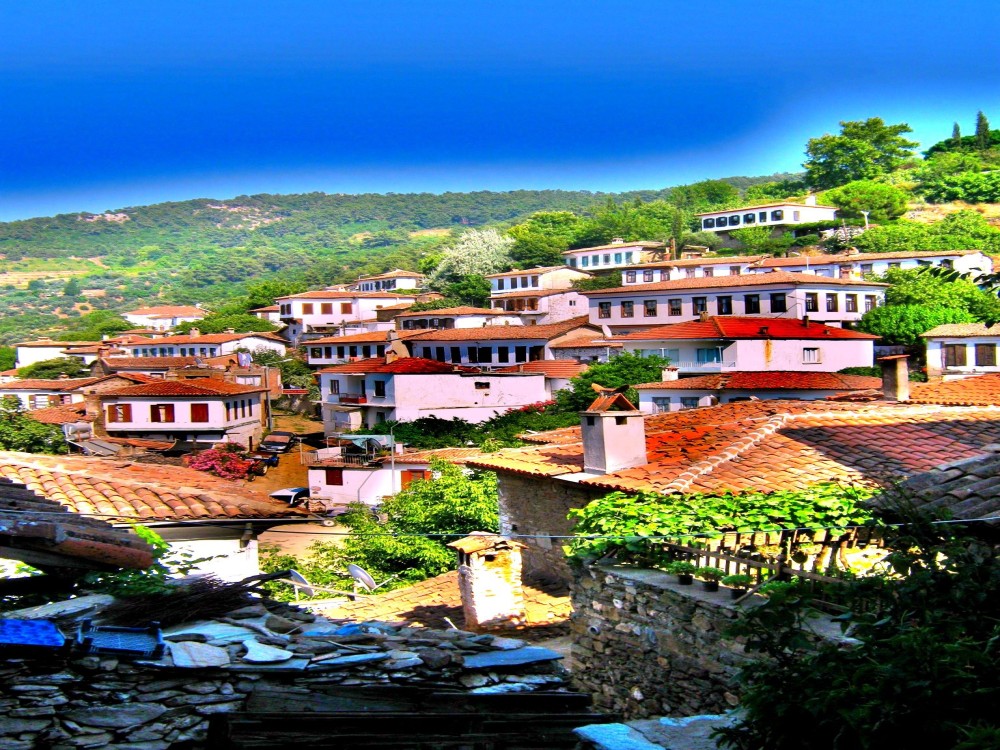 Selcuk’s Culinary Delights: A Flavorful Journey Through History