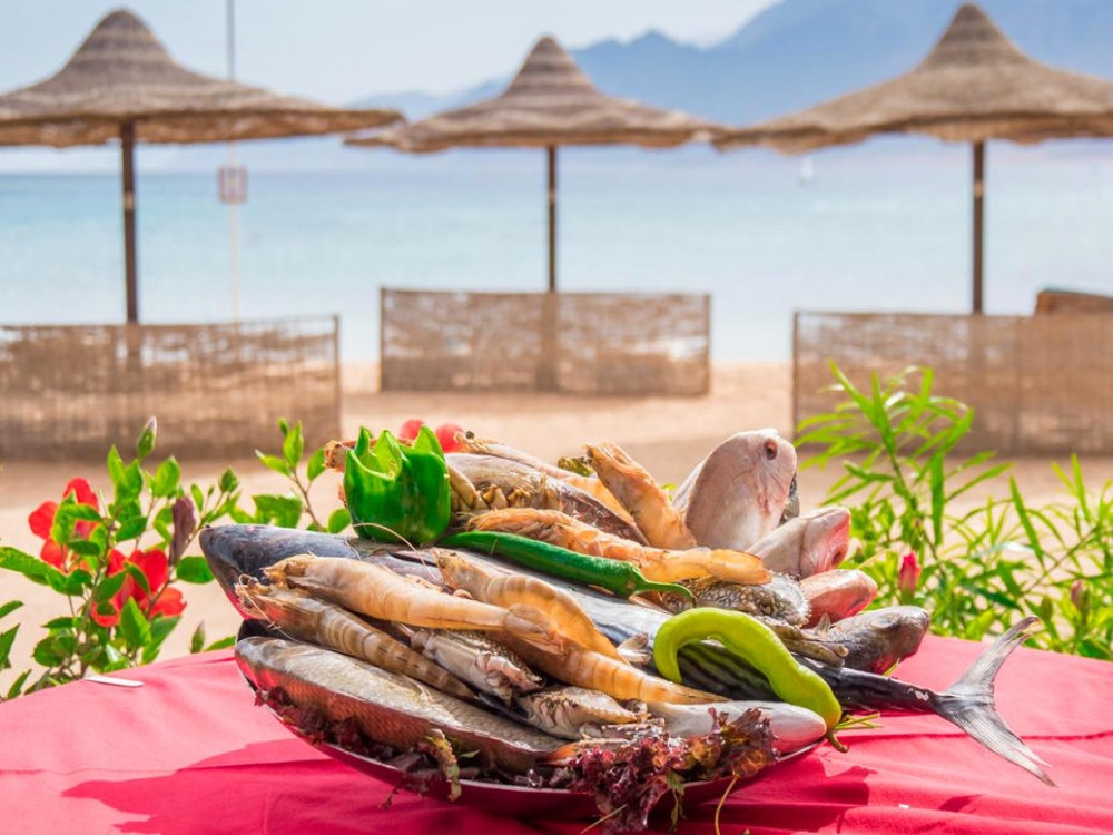 Savor the Flavors: A Food Lover’s Guide to Dahab