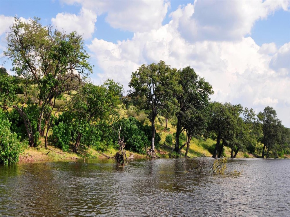 The Ultimate Kasane Travel Itinerary for Nature Lovers