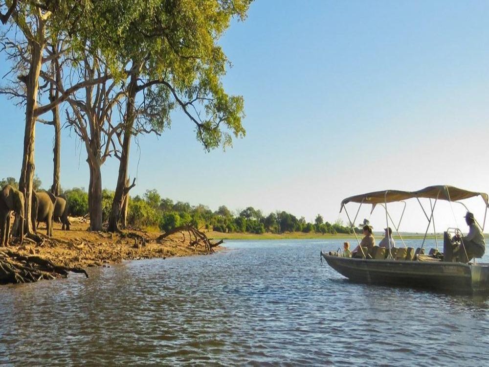 First-Time Visitors' Guide to Exploring Kasane
