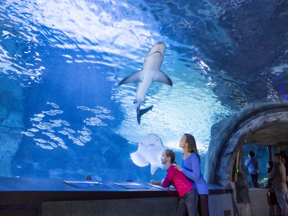 Best 5 Activities to Do with Kids in Antalya