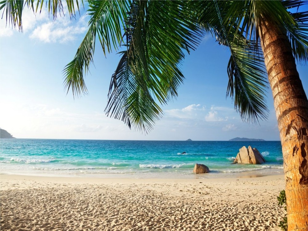 Top Things to Do in Praia: A First Timer's Guide