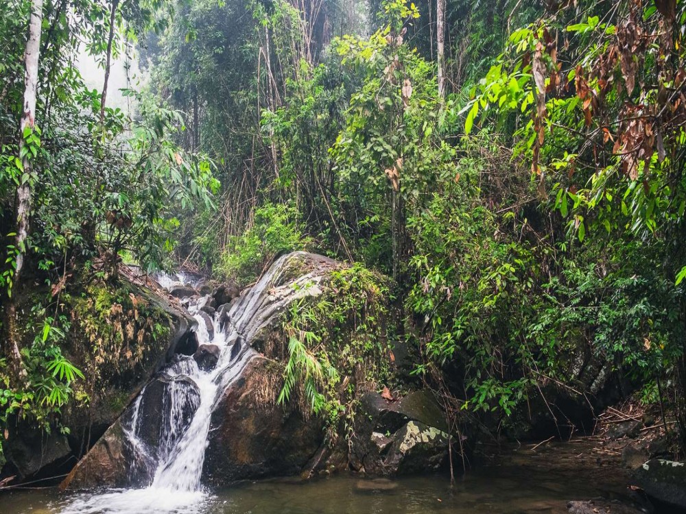 Khao Lak’s Best Day Trips: Islands, Waterfalls, and More